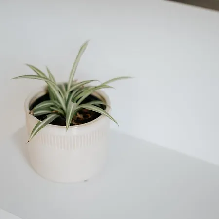 アパート 4 Esquinas Adeje Homes アデヘ